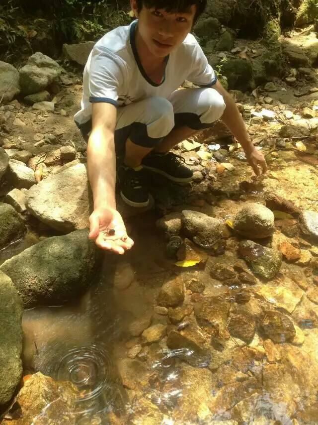 鳳凰山抓魚(yú)